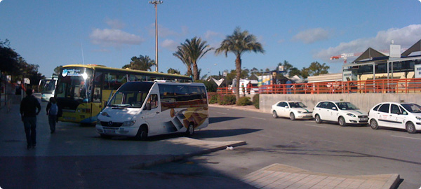 Albir Bus